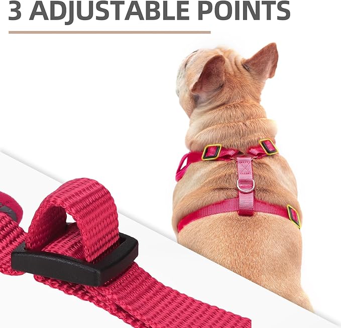 PUPTECK Dog Harness and Leash Set for Small Medium Dogs No Pull, Soft Mesh Adjustable Puppy Cat Harness Reflective at Night, Fuchsia XS