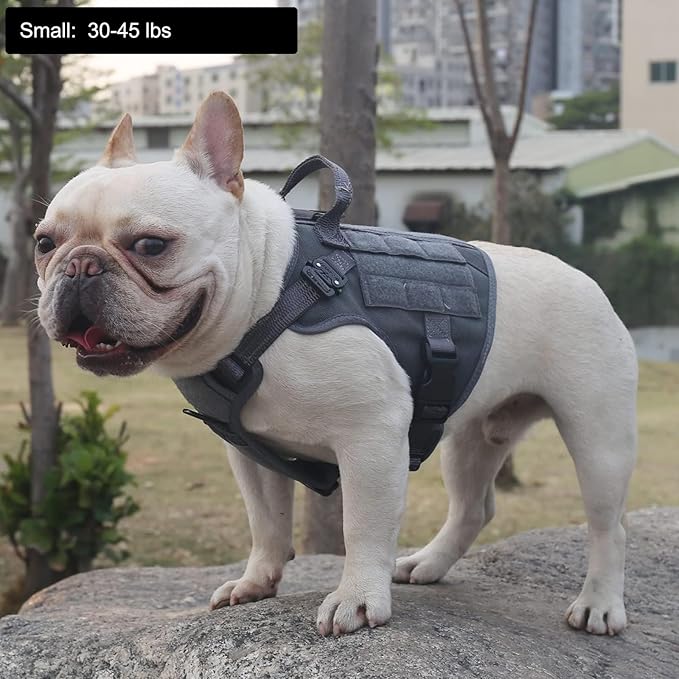 ICEFANG Tactical Dog Harness, Small Size,2X Metal Buckle,Working Dog MOLLE Vest with Handle,No Pulling Front Leash Clip,Hook and Loop Panel