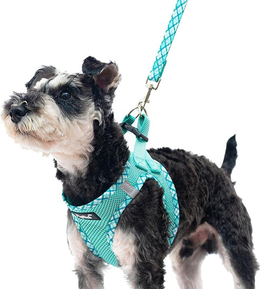 PUPTECK Dog Harness and Leash Set for Small Medium Dogs No Pull Step-in Soft Mesh Puppy Cat Vest Harnesses Reflective at Night, Green L