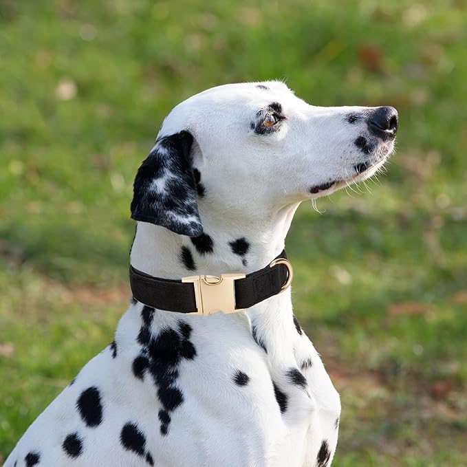 Soft Dog Collar with Metal Buckle Adjustable Durable Comfort Cotton Corduroy Collars for Small Dogs Velvet Dog Collars, Black