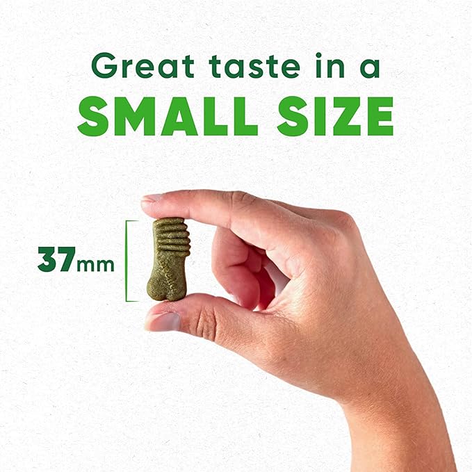Greenies Anytime Bites Dog Treats, Mint Flavor, 10.3 oz. Bag