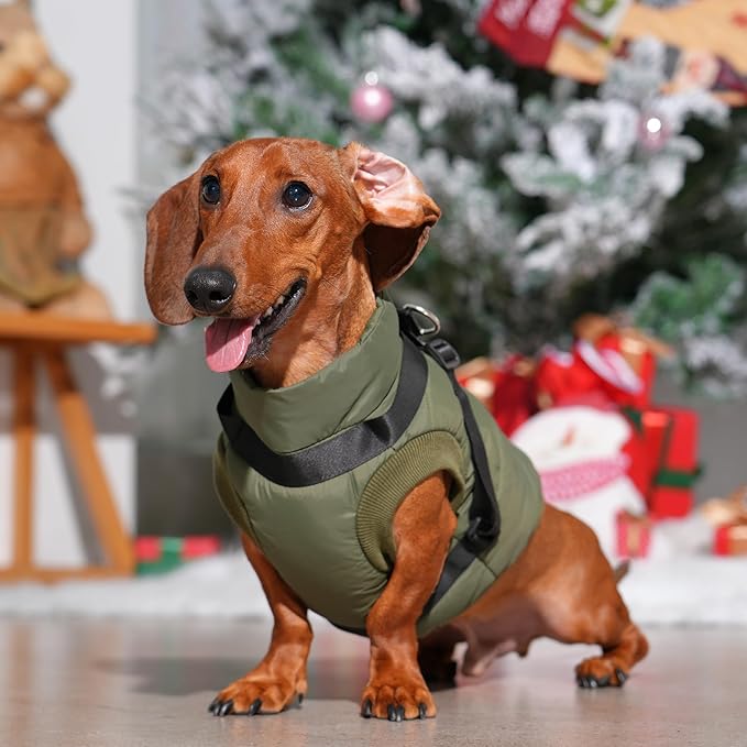 Dog Jacket with Harness,Fleece Lined Warm Puppy Coat for Winter,Soft Windproof Small Dog Vest,Green M