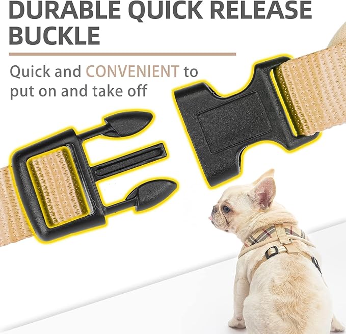 PUPTECK Soft Mesh Dog Harness and Leash Set Pet Puppy Cat Comfort Padded Vest No Pull Harnesses, Beige, XS