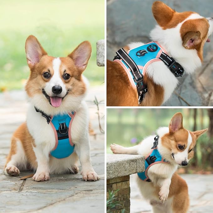 PHOEPET 2019 No Pull Dog Harness Medium Reflective Front Clip Vest with Handle,Adjustable 2 Metal Rings 3 Buckles,[Easy to Put on & Take Off](M, Blue)
