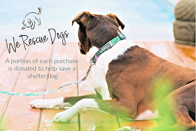 Lucky Love Dog, Tropical Matching Dog Collar & Leash Set, Soft & Comfy, Vivid Pink Color Collar and Leash for Female Male Dogs - (Medium, Laguna Combo)