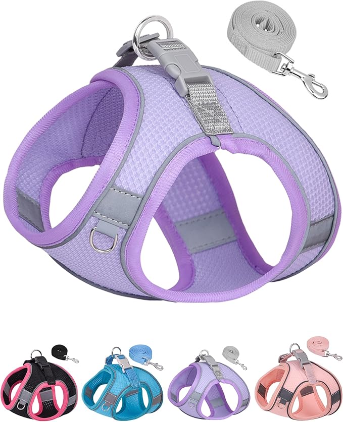 Dog Harness & Leash Set - Purple, S for Small & Medium Dogs