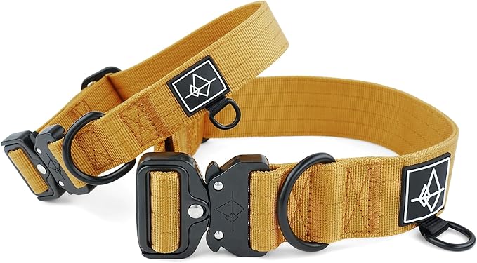 Made to ROAM Premium Dog Collar - Adjustable Heavy Duty Nylon Collar with Quick-Release Metal Buckle (Michigan Autumn, Classic Size 4)