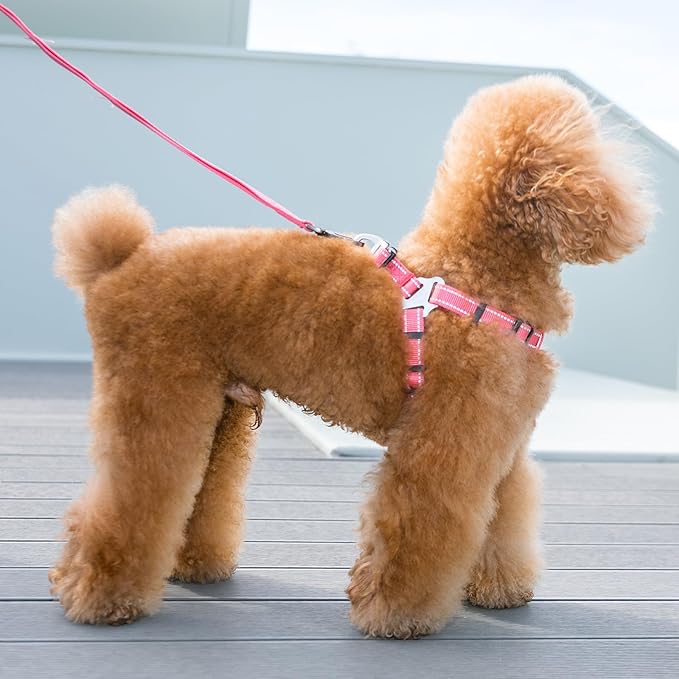 EXCELLENT ELITE SPANKER No Pull Dog Harness Adjustable Nylon Step-in Easy Pet Vest Chest Strap with Reflective and Leash Ring for Small Medium Large Breed Dogs Training Walking(Pink-S)