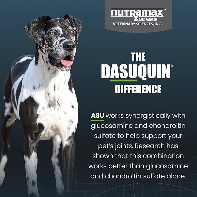 Nutramax Laboratories Dasuquin with MSM Joint Health Supplement for Large Dogs - With Glucosamine, MSM, Chondroitin, ASU, Boswellia Serrata Extract, and Green Tea Extract, 150 Soft Chews