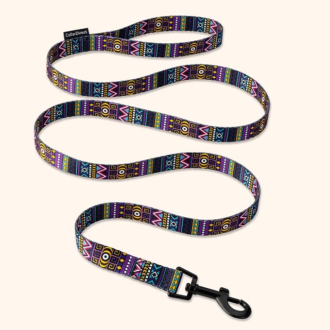 CollarDirect Aztec Dog Leash Nylon Tribal Pattern Cat Pet Leashes for Small Medium Large Dogs Puppy Lead 5 FT Long for Walking (Tribal Magenta, S, New)