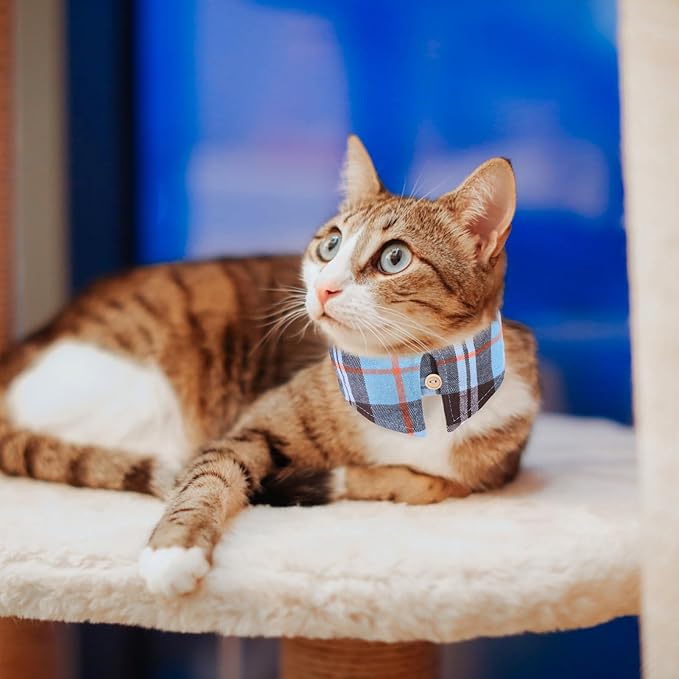 EXPAWLORER Dog Collar and Leash Set - Embroidery Pawprints Plaid Medium Dog Collar and Leash Set, Cute Dog Bandana Collar, Dog Collars for Small Medium Dogs Cats Girl Boy, SkyBlue Medium