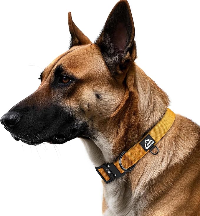 Heavy Duty Dog Collars for Medium and Large Dogs - Adjustable, Chew Proof Nylon Collar with Metal Quick Release Buckle and D-Ring for Dog Tags (Turmeric Yellow, L)