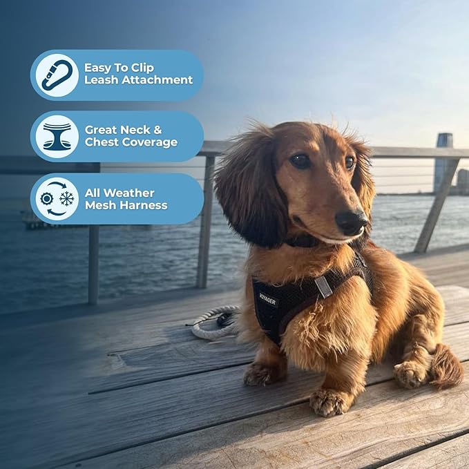 Voyager Step-in Air All Weather Mesh Harness and Reflective Dog 5 ft Leash Combo with Neoprene Handle, for Small, Medium and Large Breed Puppies by Best Pet Supplies - Set (Black), M