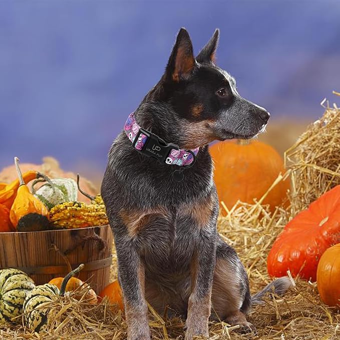 Halloween Dog Collar, Autumn Cotton Collar for Puppy Girl Dog or Cat, Halloween Themed Collar with Pumpkin,Ghost,Bat Pattern, Adorable& Lightweight Pet Collar,M