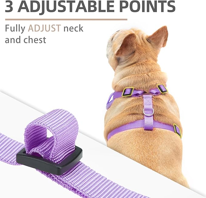 PUPTECK Dog Harness and Leash Set for Small Medium Dogs No Pull, Soft Mesh Adjustable Puppy Cat Harness Reflective at Night, Light Purple M