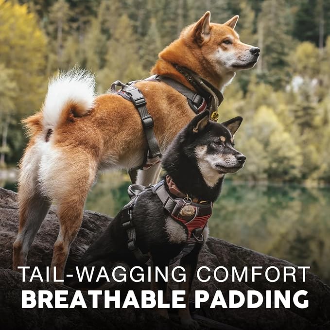 Embark Adventure Dog Harness, Reflective Trim No Pull Dog Harnesses for Small Sized Dogs - Military Grade Nylon, Front Clip with Gel Lined Handle.