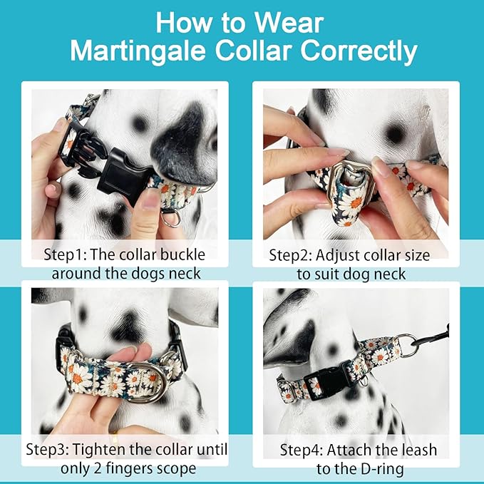 Quick Release Dog Collar Martingale Adjustable Nylon Soft Flower Dog Collars with Buckle (Daisy,XLarge)