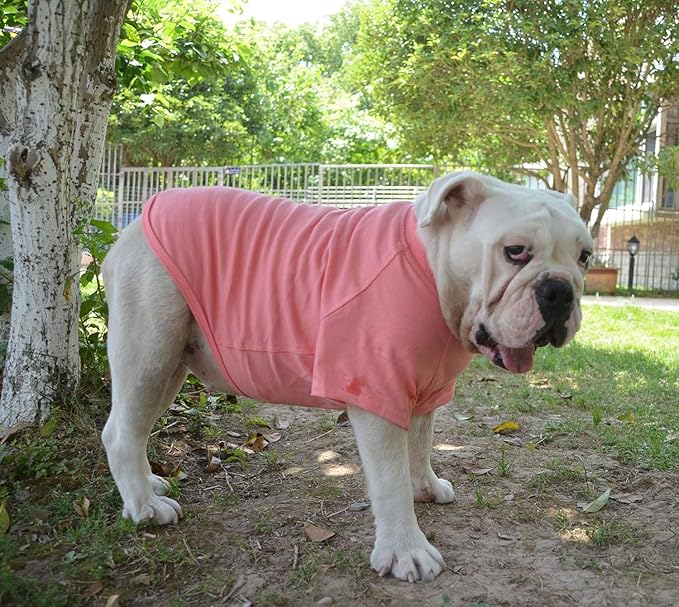 Lovelonglong Bulldog Clothes Dog Clothing Blank T-Shirt Tee Shirts for French Bulldog English Bulldog American Pit Bull Pugs 100% Cotton Skin Care Lotuspink B-L