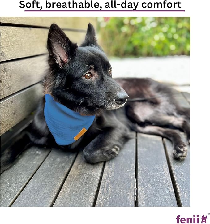 Premium Cotton Dog Bandanas - 2 Pack - Adjustable Fit - Washable - for Small, Medium & Large Breeds - Girl & Boy Dog Accessories - Multiple Sizes (Ocean Blue & Lavender Mist, Large)