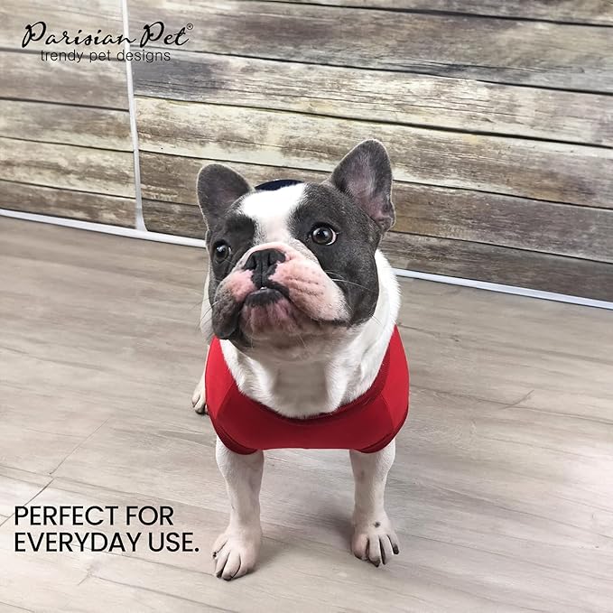 Parisian Pet Dog Tshirt - Embroidered “ Worlds Champion“ Dog Shirt - Lightweight Dog Tank Top - Sleeveless Color Block Dog Tee Shirts - Machine Washable Dog Shirt for Large Dogs - L