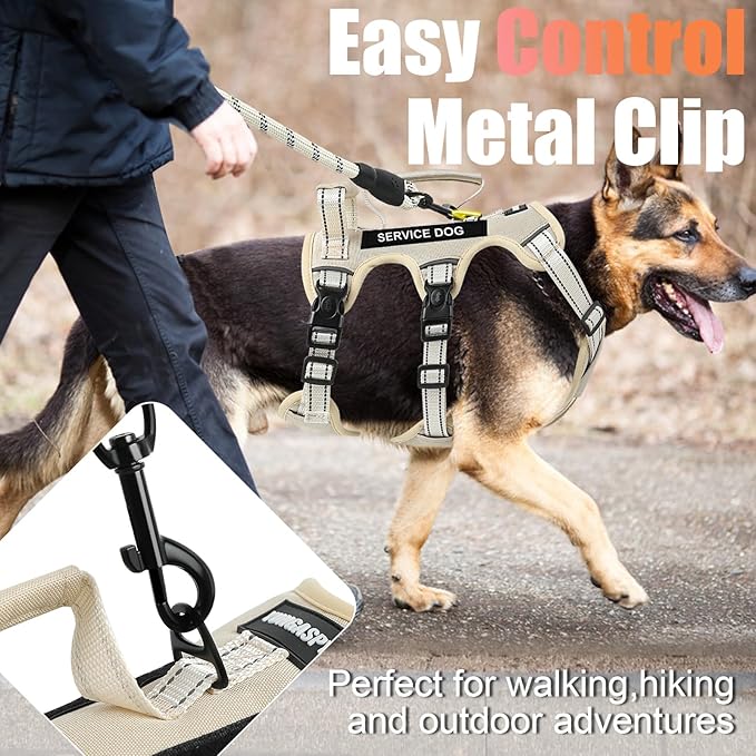 Escape Proof Dog Harness for Large Medium Sized Dogs Six Point Adjustable, Service Dog Vest Harness and Leash Set, No Pull Dogs Harnesses with Handle, XL Dog Harnesses for Walking(Beige, L)