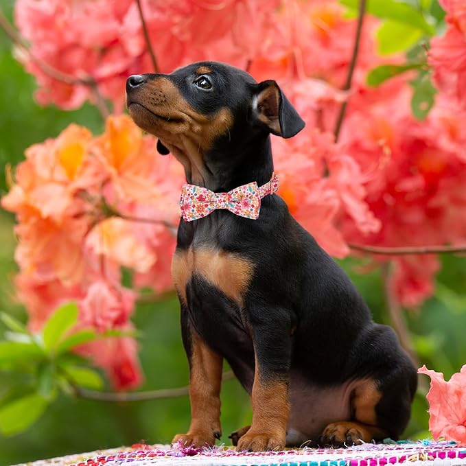 ADOGGYGO Floral Dog Collar with Bow, Metal Buckle, Adjustable Red Pink Pet Flower Collar for Extra Small Dogs (X-Small)