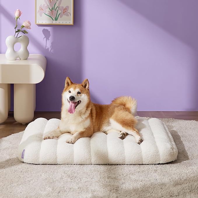 Lesure Cute Orthopedic Dog Bed Medium Size Dog, Waterproof Chic Flat Pet Beds with Removable Washable Cover, Fuzzy Thick Egg Crate Foam Pet Mat for Indoor Use (30" x 20", Cream)
