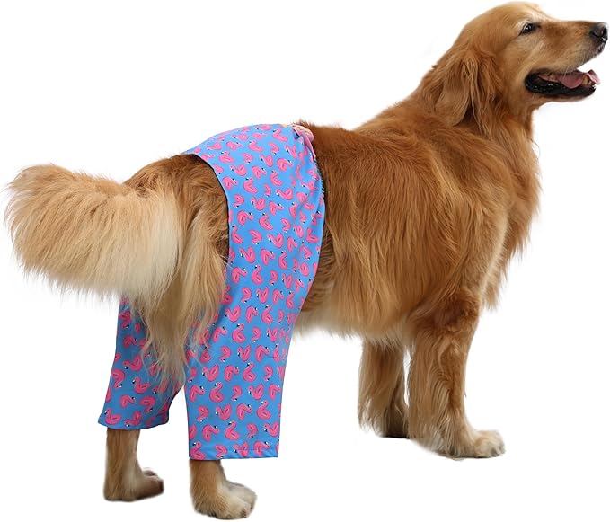 HDE Dog Swim Trunks Hawaiian Board Shorts Beach Pool Swimsuit for XS to XXL Dogs Flamingos - XL