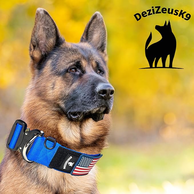 Tactical Dog Collar 2 Inch Wide Thick Heavy Duty Military Style with Metal Buckle, Adjustable for Medium - Large Breeds, Durable K9 Training Gear with Patch Area, USA Flag Patch, Strong and Secure Fit
