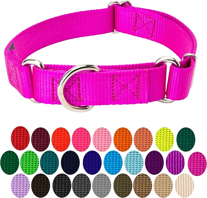 Country Brook Petz Martingale Dog Collar - Heavy-Duty Training Collar with No Buckle - Service Dog Collar for All Pups - Vibrant, Colorful Collection (Fuchshia, 5/8 Inch, Extra Small)