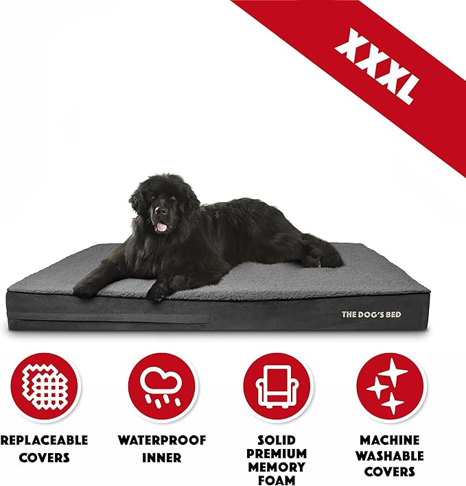 The Dog’s Bed Orthopedic Jumbo Memory Foam Dog Bed, XXXL Grey Plush 64x44, Pain Relief for Arthritis, Hip & Elbow Dysplasia, Post Surgery, Lameness, Supportive, Waterproof Washable Cover