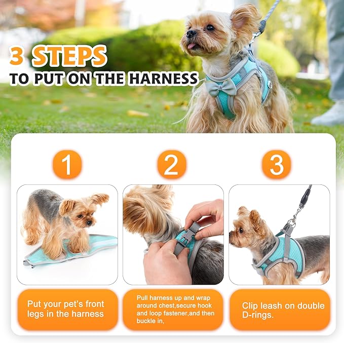 Dog Harness with Leash Set, Step-in Breathable Puppy Cat Dog Vest Harnesses, No Pull Adjustable Reflective Puppy Harness with Soft Padded Vest for Extra-Small/Small Medium Large Dogs and Cats