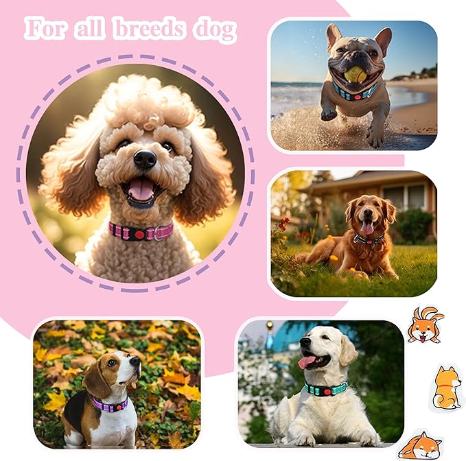 2 Pack Reflective Dog Collars for Medium Dogs Girl Boys,Female Male,Nylon Dog Collars for Puppy small Large Dog with Quick Release Safety Buckle, Durable padded soft neoprene Dog Collar,Orange,Green,M