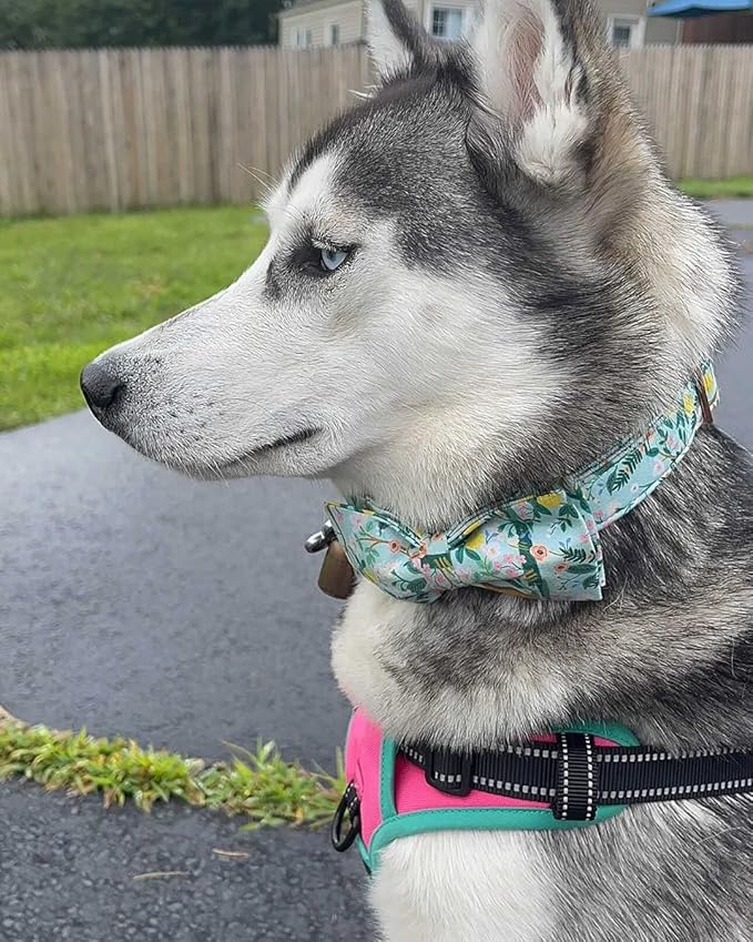 Lionheart glory Premium Floral Dog Collars, Bowtie Dog Collar, Adjustable Heavy Duty Girl Dog Collar with Bow for Large Dogs