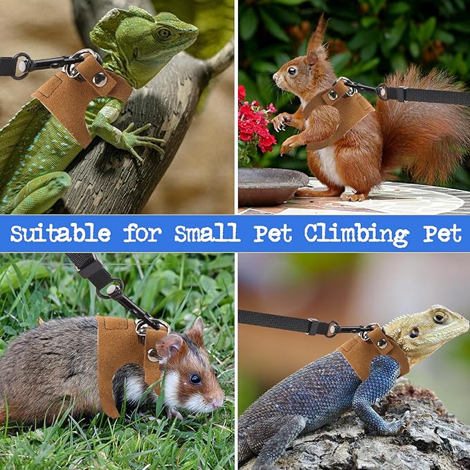 3 Pack Bearded Dragon Harness and Leash, Adjustable Leash and Harness Set with Traction Rope for Lizards and Other Small Reptiles (3 Sizes)