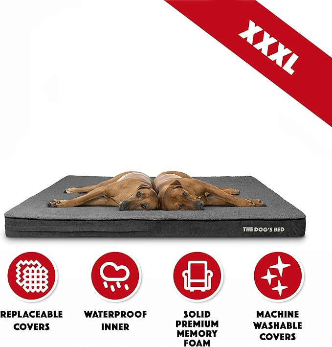 The Dog’s Bed Orthopedic Memory Foam Jumbo Dog Bed, XXXL Grey Plush 64x44, Pain Relief for Arthritis, Hip & Elbow Dysplasia, Post Surgery, Lameness, Supportive, Waterproof Washable Cover