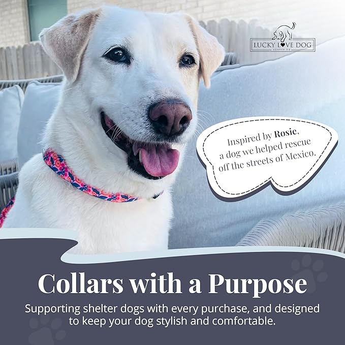 Lucky Love Dog - Easy Click Buckle Dog Collar with Leash Set Combo, Durable & Comfortable for Male & Female Dogs, Pet Collar for Small to Large Dogs, Secure Fit - Floral Rosie Combo, Medium