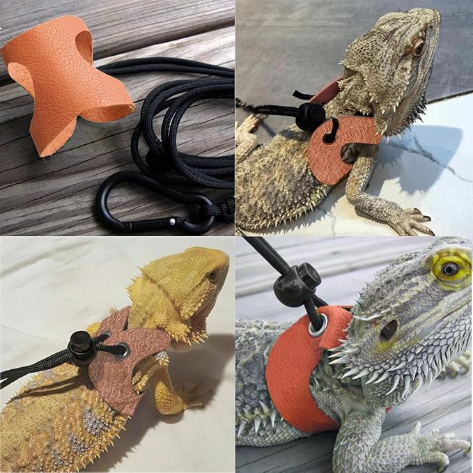Bearded Dragon Travel Backpack with Harness and Leash Set,Lizard Backpack Travel Carrier,Space Capsule Clear Bubble Window Astronaut Reptile Carrier Backpack for Kids, Airline Approved