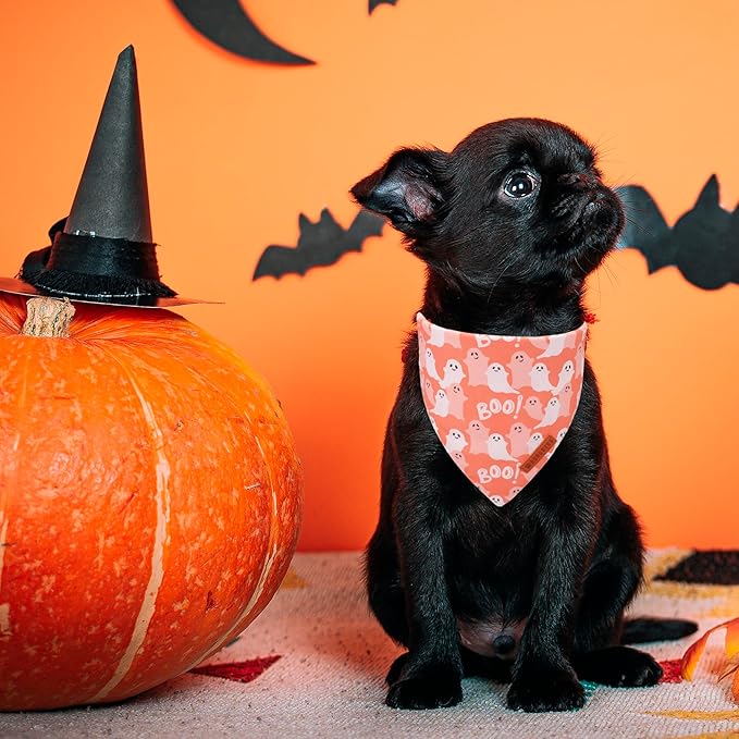 ADOGGYGO Halloween Dog Bandana, Pumpkin Ghost Pet Scarf, Orange Black Halloween Bandanas for Small Dogs Puppies (Small)