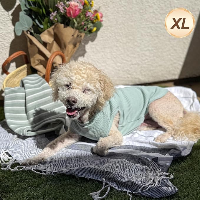 KYEESE 2Pack Dog Shirts Waffle for Small Dogs Stretchy Pet T-Shirts Lightweight Dog Tank Top Sleeveless Dogs Vest Breathable, X-Large, Green+Grey