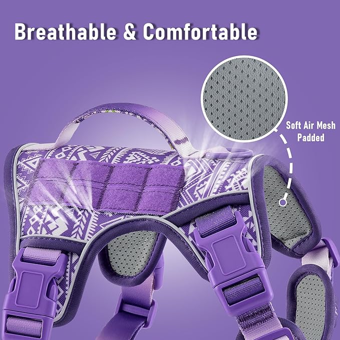 Dog Harness for X-Small Dog Breed, Light Pet Vest Harness with 2 Leash Clips and 3 Buckles, Easy to Wear, Adjustable Reflective Soft Padded, Boston Terrier, Beagle, Poodles, XS