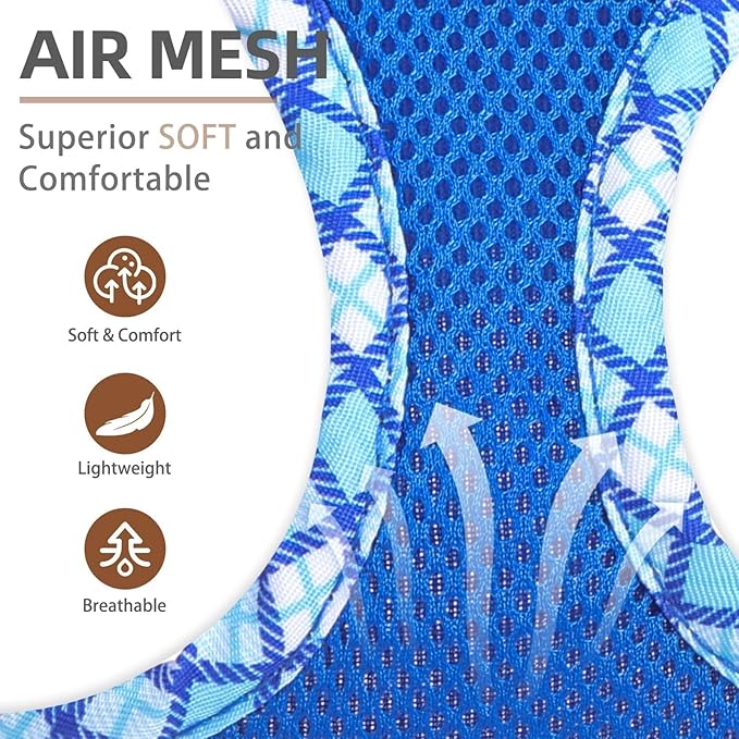 PUPTECK Dog Harness and Leash Set for Small Medium Dogs No Pull Step-in Soft Mesh Puppy Cat Vest Harnesses Reflective at Night, Blue L