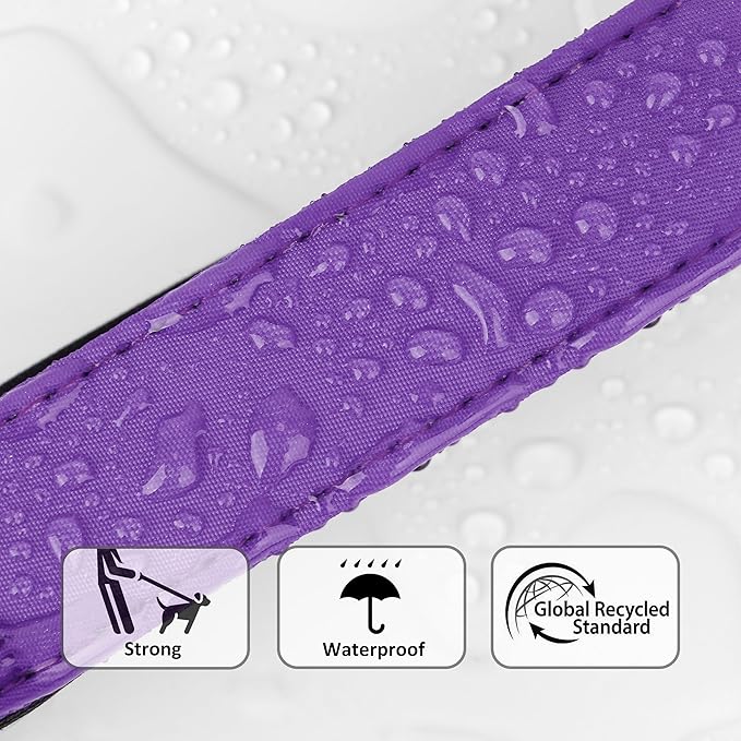 Didog Soft Padded Dog Collar for Large Dogs, Waterproof and Durable Pet Collar with Quick Release Buckle, Light and Breathable for Daily Walking,Purple,L(Neck15-23)