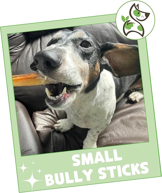 Nature Gnaws Small Bully Sticks for Dogs 5-6" (5 Count) - Long Lasting for Light Chewers and Puppies - Natural Thin Beef Dog Chew Bones - Rawhide Free