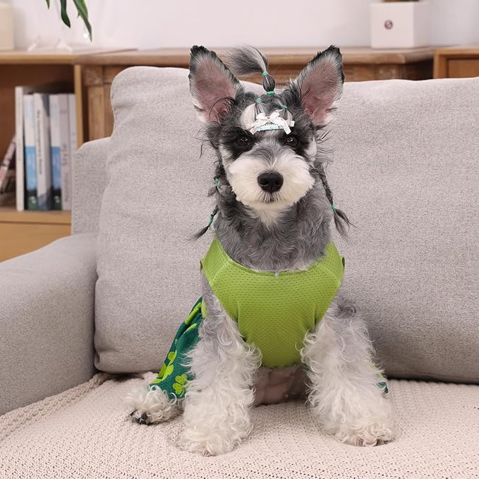 CuteBone Dog Mesh Dress St.Patrick's Day Puppy Sundress Pet Outfit Summer Fashion for Small Dogs Girl Cat Clothes BF42XXS-D