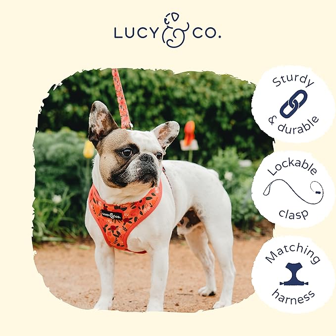 Lucy & Co. 5 Foot Designer Dog Leash – Puppy Leash – Pet Accessories & Supplies (Posy Pink, Large)