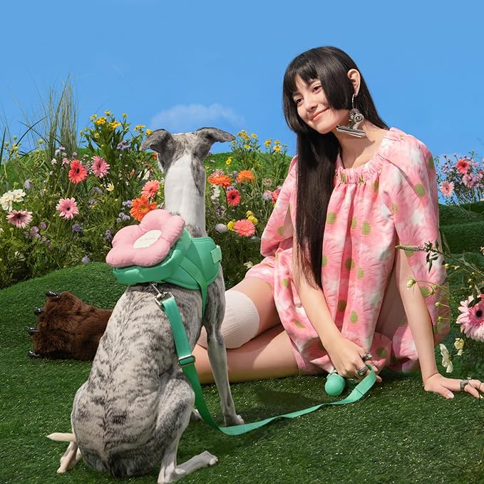 VETRESKA Flora Dog Harness, Leash and Collar Set, No Pull Dog Vest Harness for Walking and Training, Adjustable, Easy Control and Soft Padded Pet Harness and Backpack for Small Medium Large Dogs, L