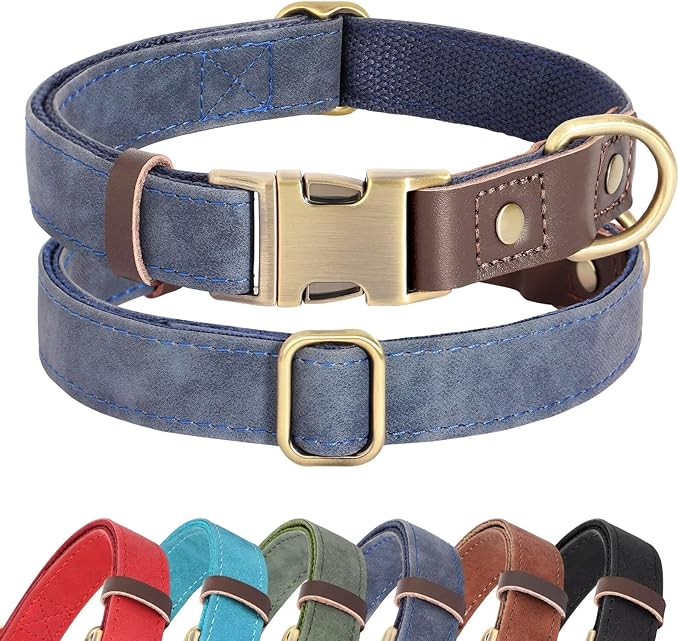 Didog Soft Padded Leather Dog Collars for Medium Dogs, Classic Heavy Duty Dog Collars Adjustable with Quick Release Metal Buckle,Blue,M Neck 13-19"