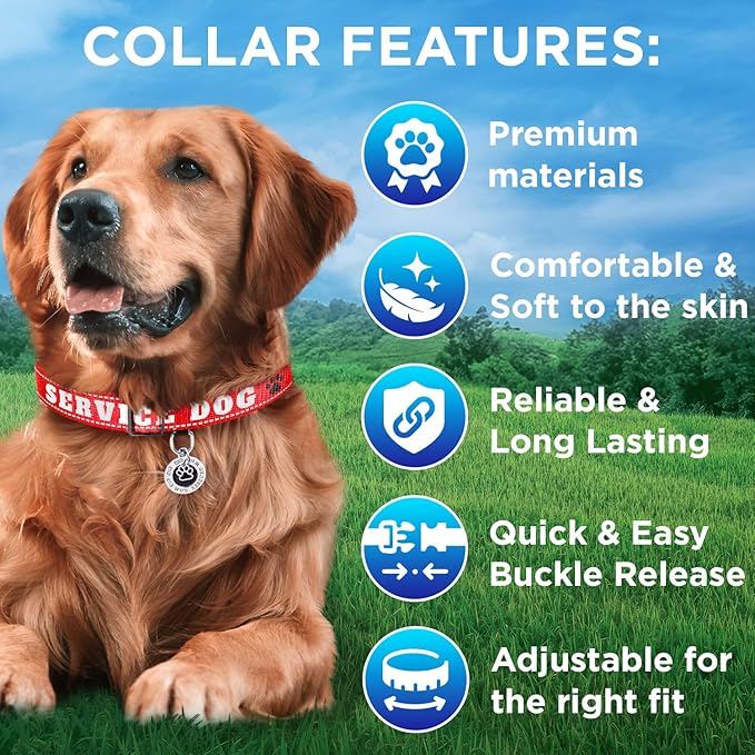 TECEUM Reflective Pet Collar – Red - Service Dog – XL – Extra Soft Padding – Basic Nylon Dog Collar – Quick Release Buckle – Fits Small, Medium and Large Dogs, Puppies, Cats