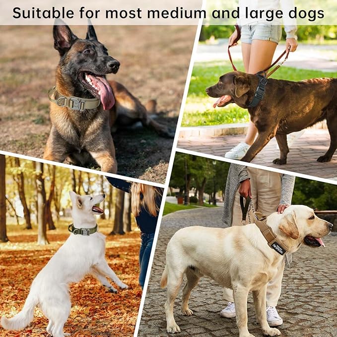 Tactical Dog Collar with Handle - Adjustable Nylon Training Military Dog Collar with Heavy Duty Metal Buckle Collar for Medium Large Dogs,with Patch